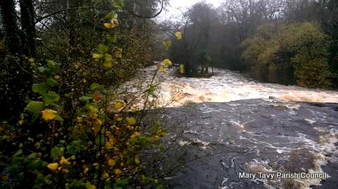 The River Tavy